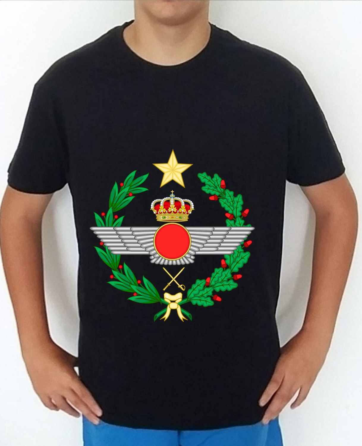 Ejército Aire nº 1 Centro De Guerra Aérea CEGA