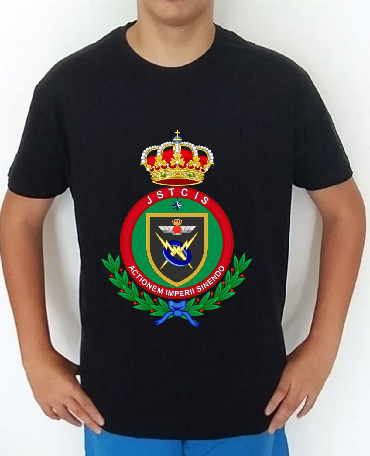 Ejército Aire nº 7 JSTCIS Jefatura Servicios Técnicos Sistemas Informtivos Y Telecomunicaciones