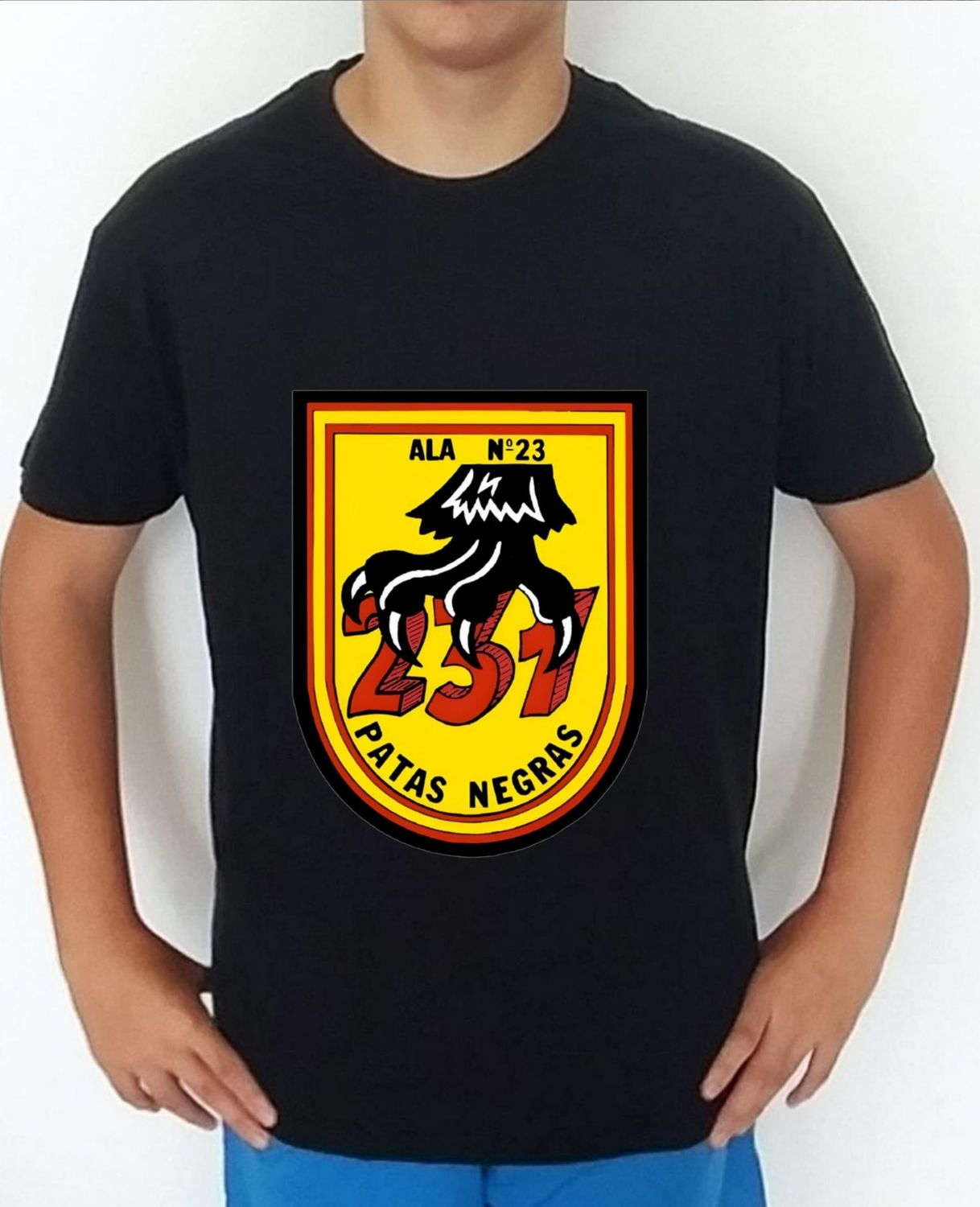 Ejército Aire nº 55 Ala 23 Escuadrón 231 Patas Negras