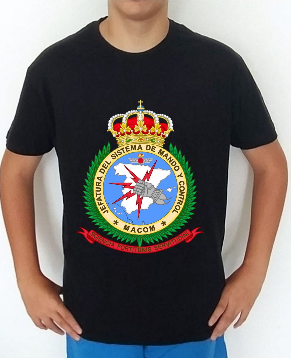 Ejército Aire nº 33 Jefatura Del Sitsema De Mando Y Control JSMC