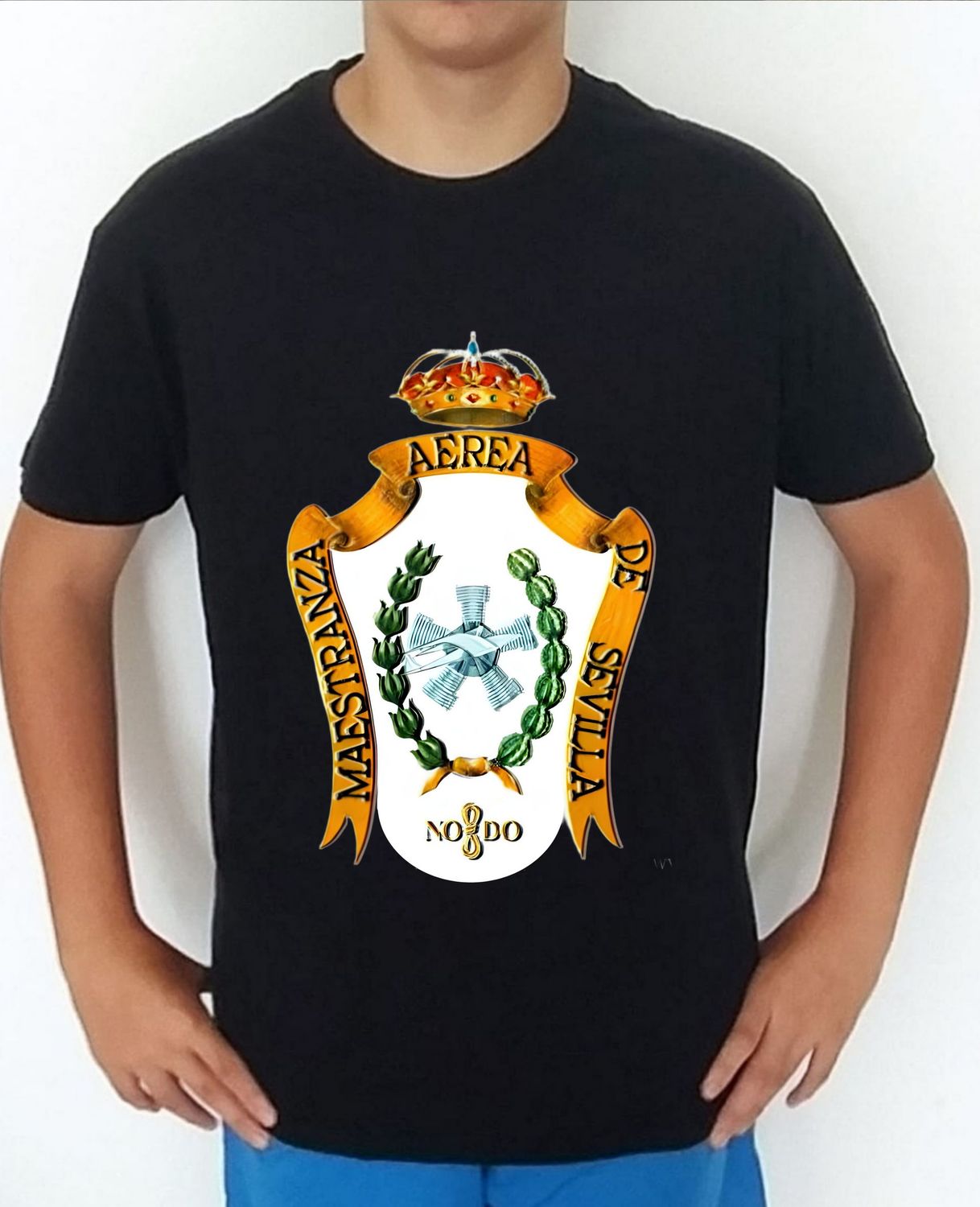 Ejército Aire nº 58 Maestranza Aérea De Sevilla MAESE