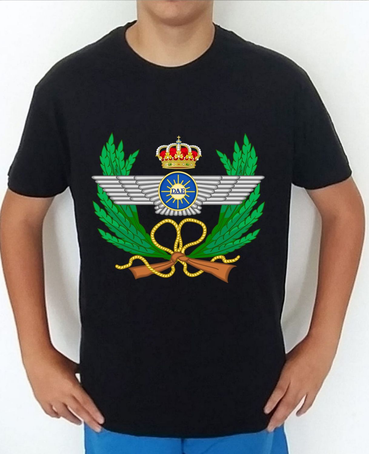 Ejército Aire nº 29 Dirección Asuntos Económicos DAE