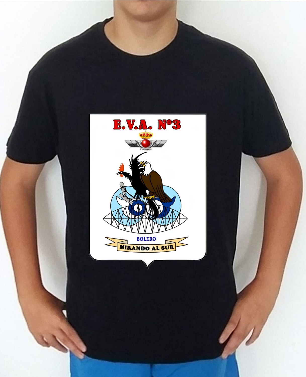 Ejército Aire nº 83 Escuadrón Vigilancia Aérea nº 3 EVA-III Bolero