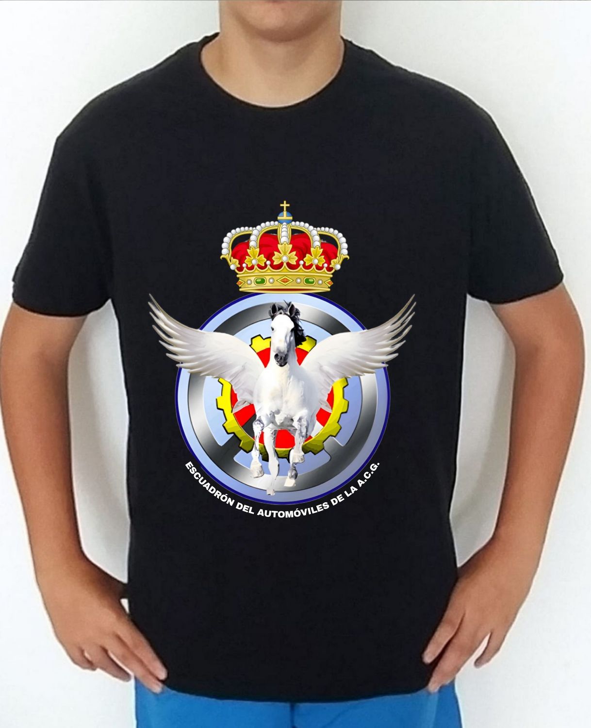 Ejército Aire nº 77 Escuadrón Automóviles ACGEA