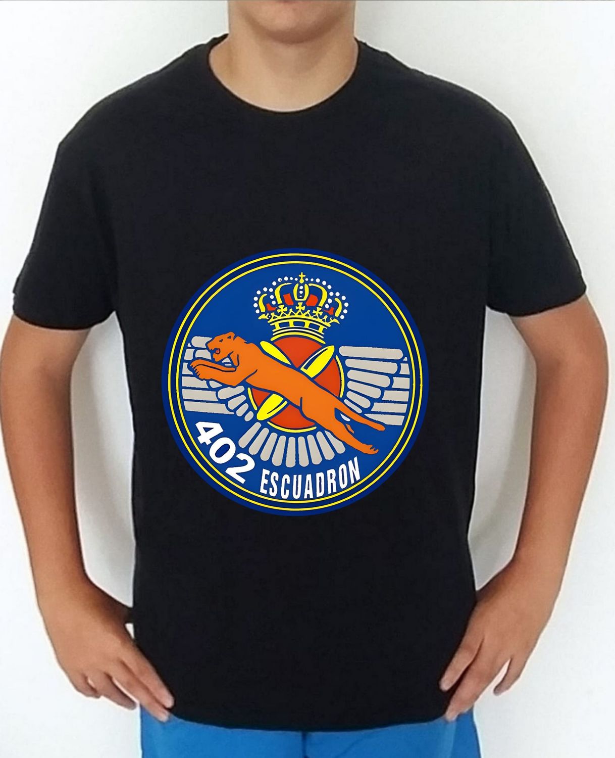 Ejército Aire nº 101 Ala 48 Escuadrón 402