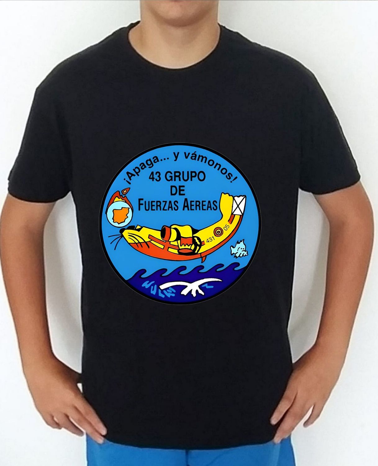 Ejército Aire nº 112  Grupo 43 De Fuerzas Aéreas