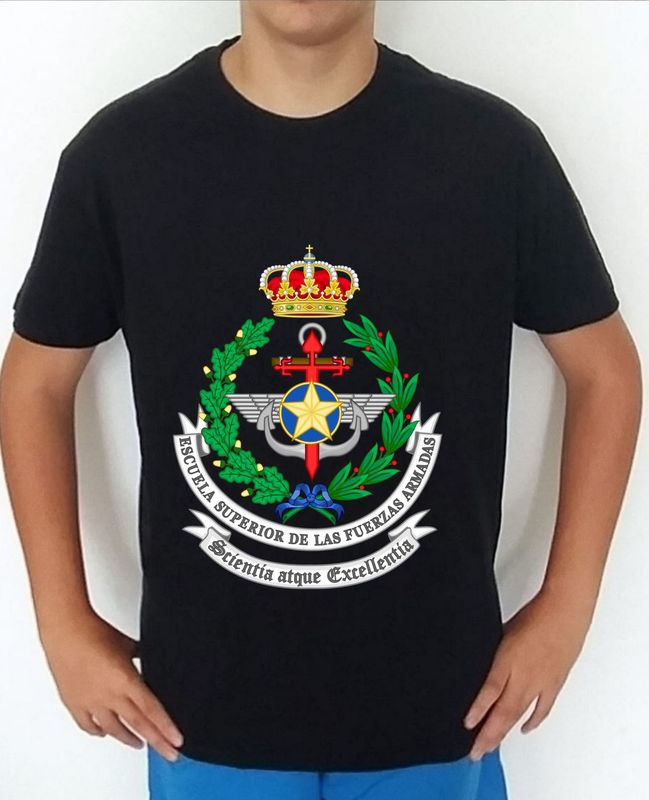 Fuerzas Armadas nº 23 Escuela Superior De Las Fuerzas Armadas Españolas ESFAS