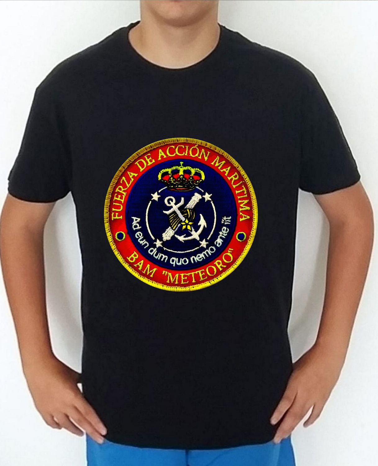 Armada Española nº 75  BAM Meteoro P-41