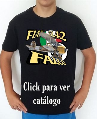Aviones 2nd W. W. Italia Fiat CR.42 Falco