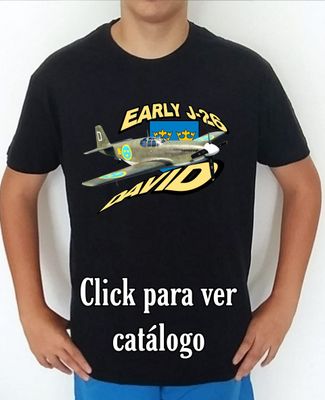 Aviones 2nd W. W. Suecia Early J-26 David