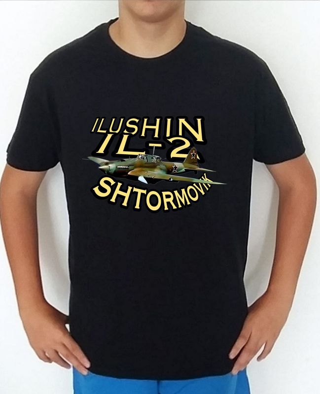Ilyushin IL-2 Shturmovik nº 1