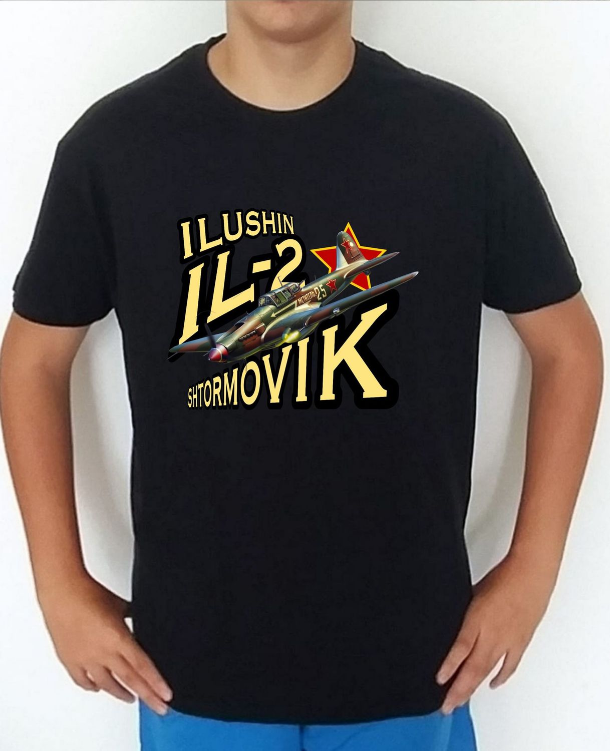 Ilyushin IL-2 Shturmovik nº 2