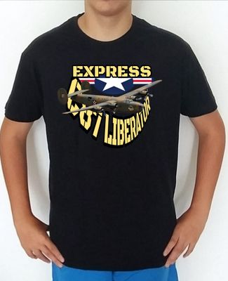 Aviones 2nd W. W. USA Consolidated C-87 Liberator Express