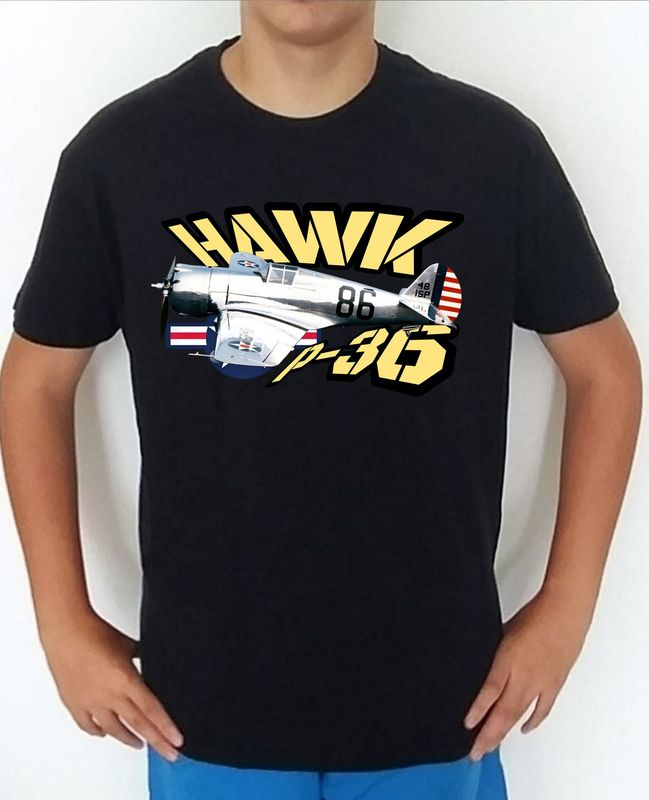 Curtiss P-36 Hawk nº 1