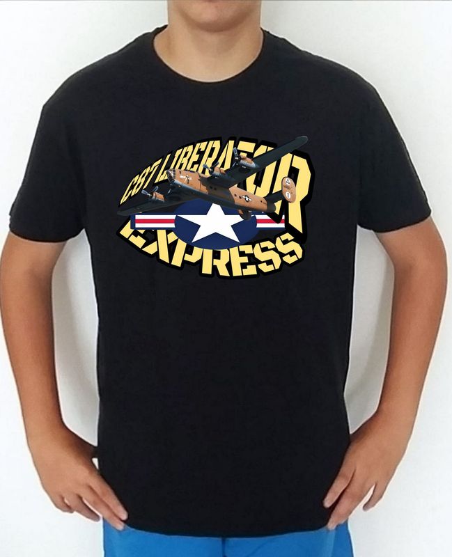 Consolidated C-87 Liberator Express nº 1