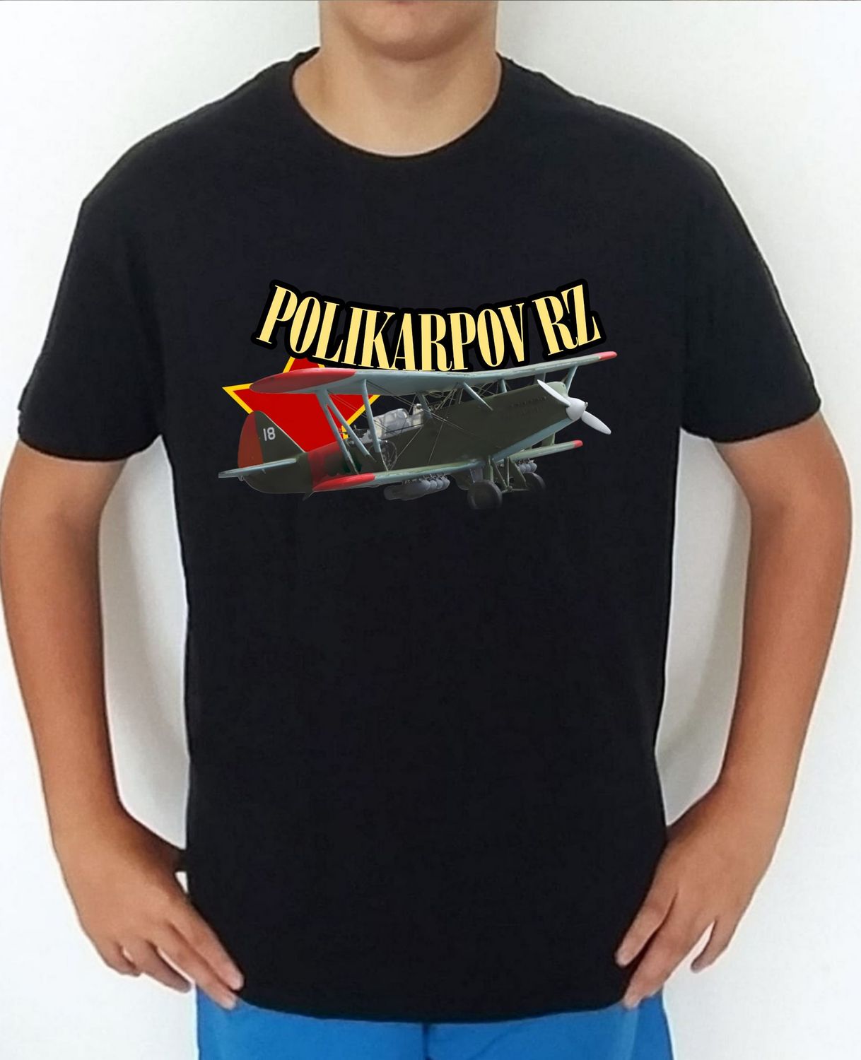 Polikarpov R-Z Natacha nº 1 Polikarpov R-Z Natacha nº 1