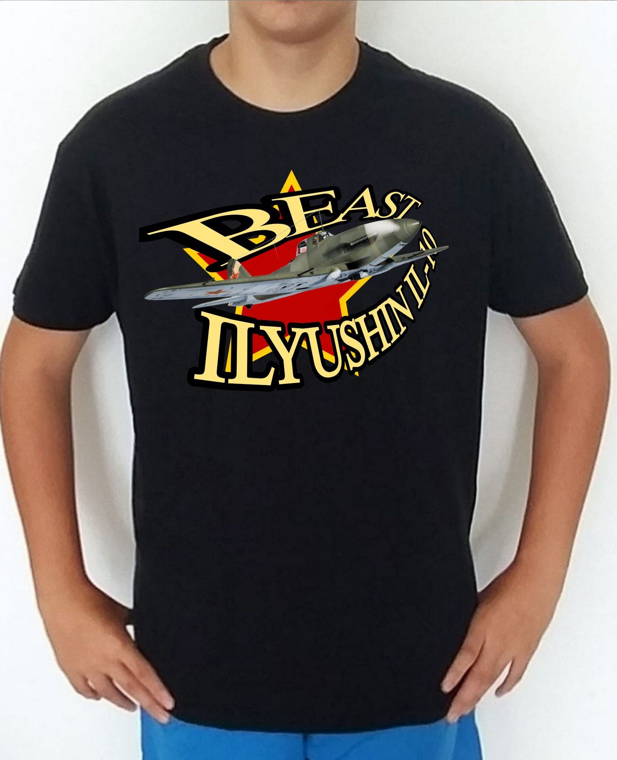 Ilyushin IL-10 Beast nº 2 Ilyushin IL-10 Beast nº 2