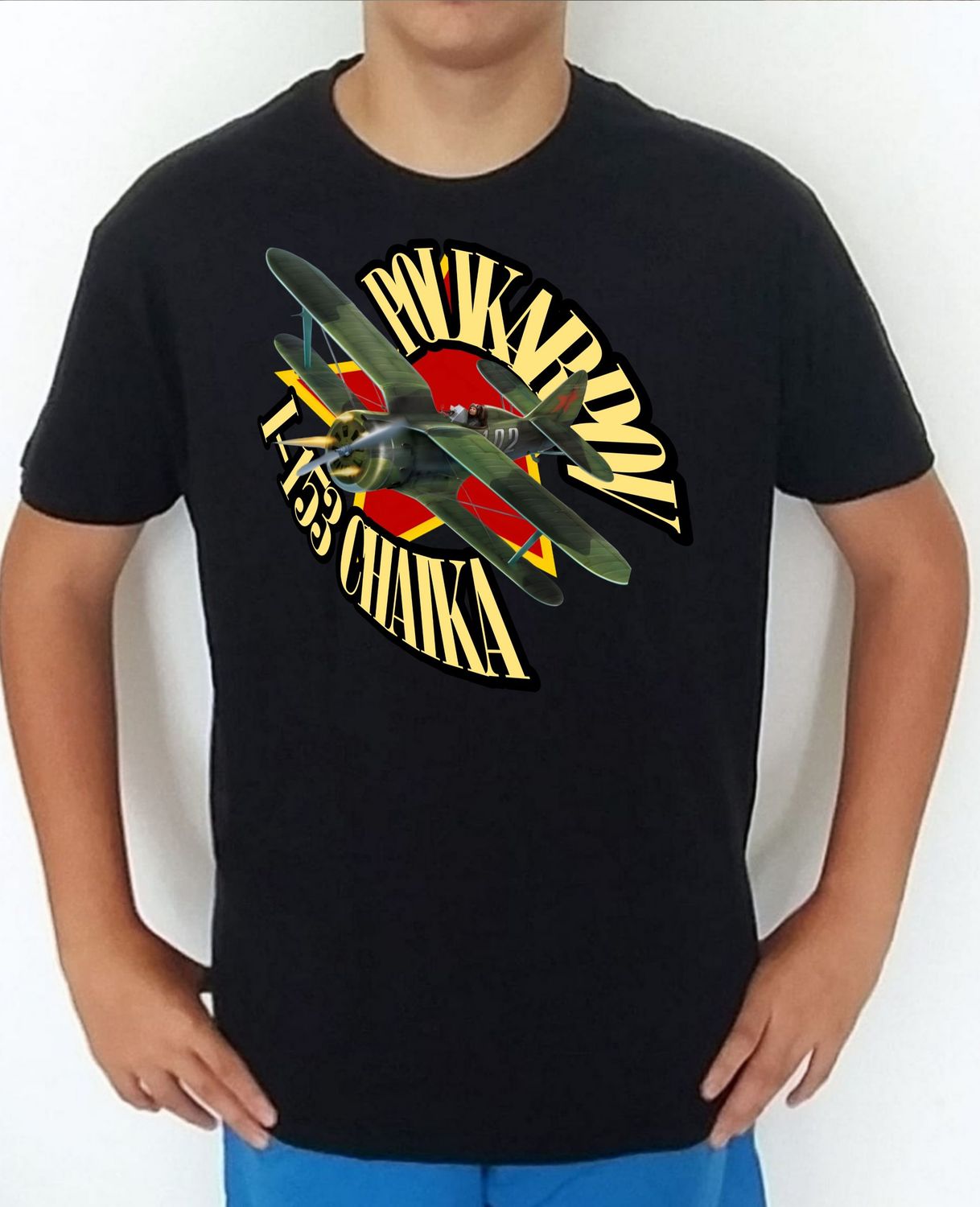 Polikarpov I-153 Chaika nº 2