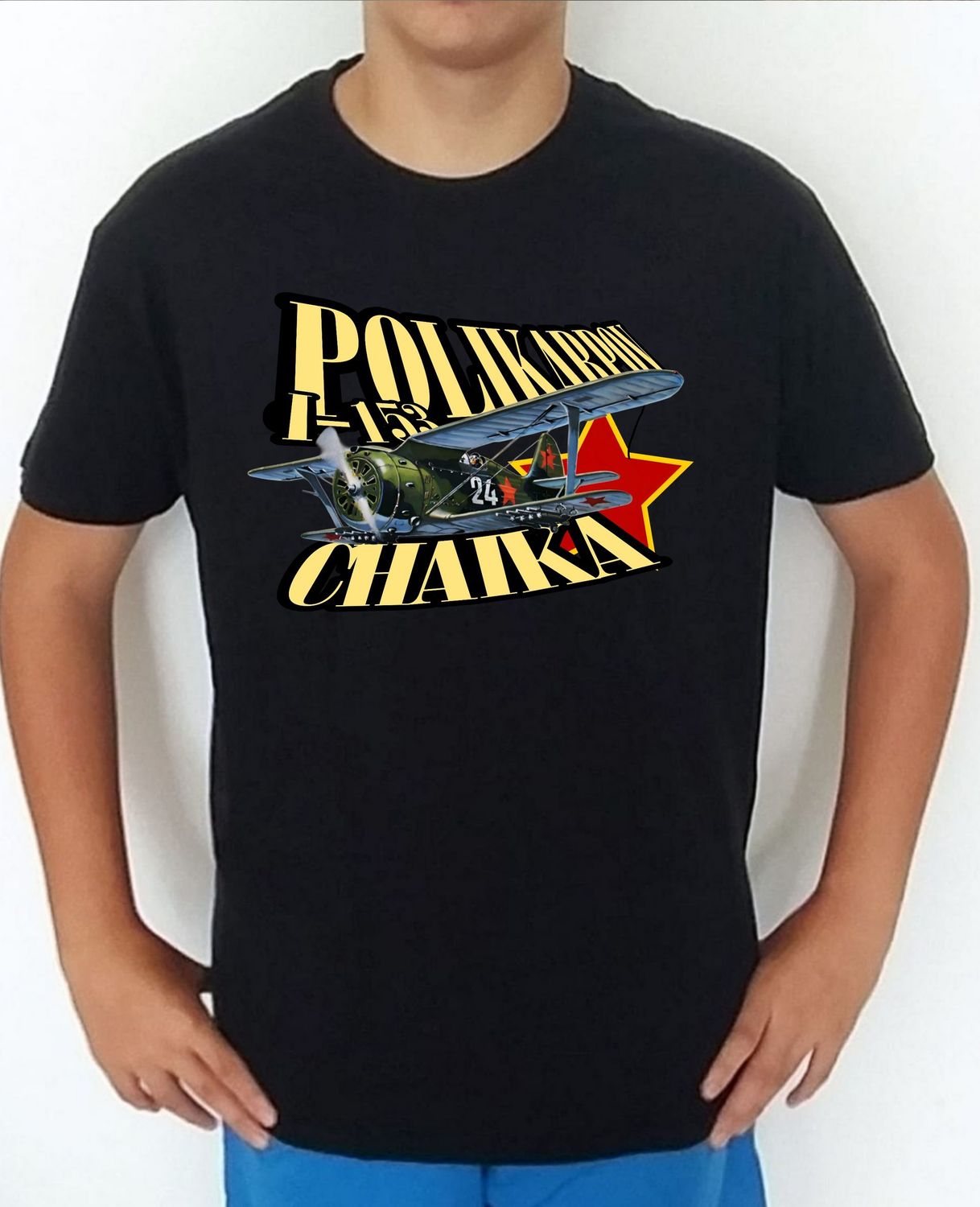 Polikarpov I-15 Gaviota nº 1