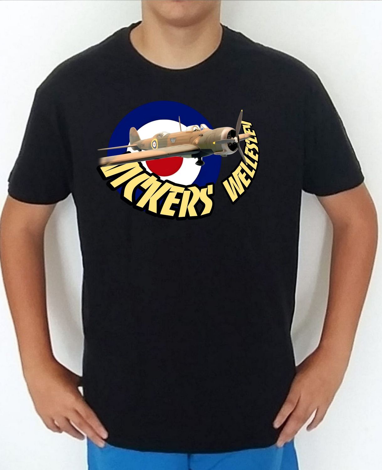 Vickers Wellesley nº 2