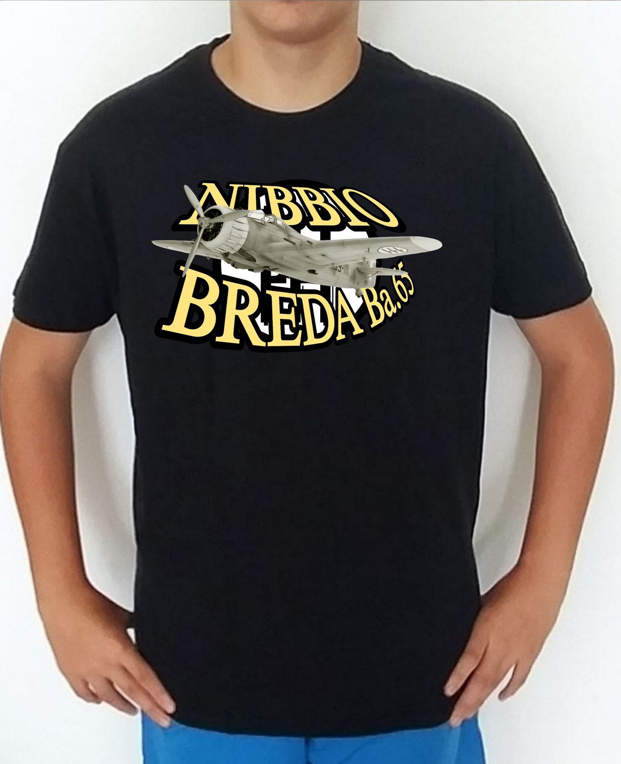 Breda BA-65 Nibbio nº 1 Breda BA-65 Nibbio nº 1