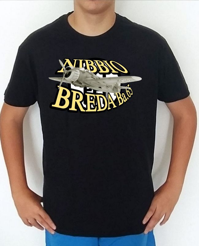 Breda BA-65 Nibbio nº 1