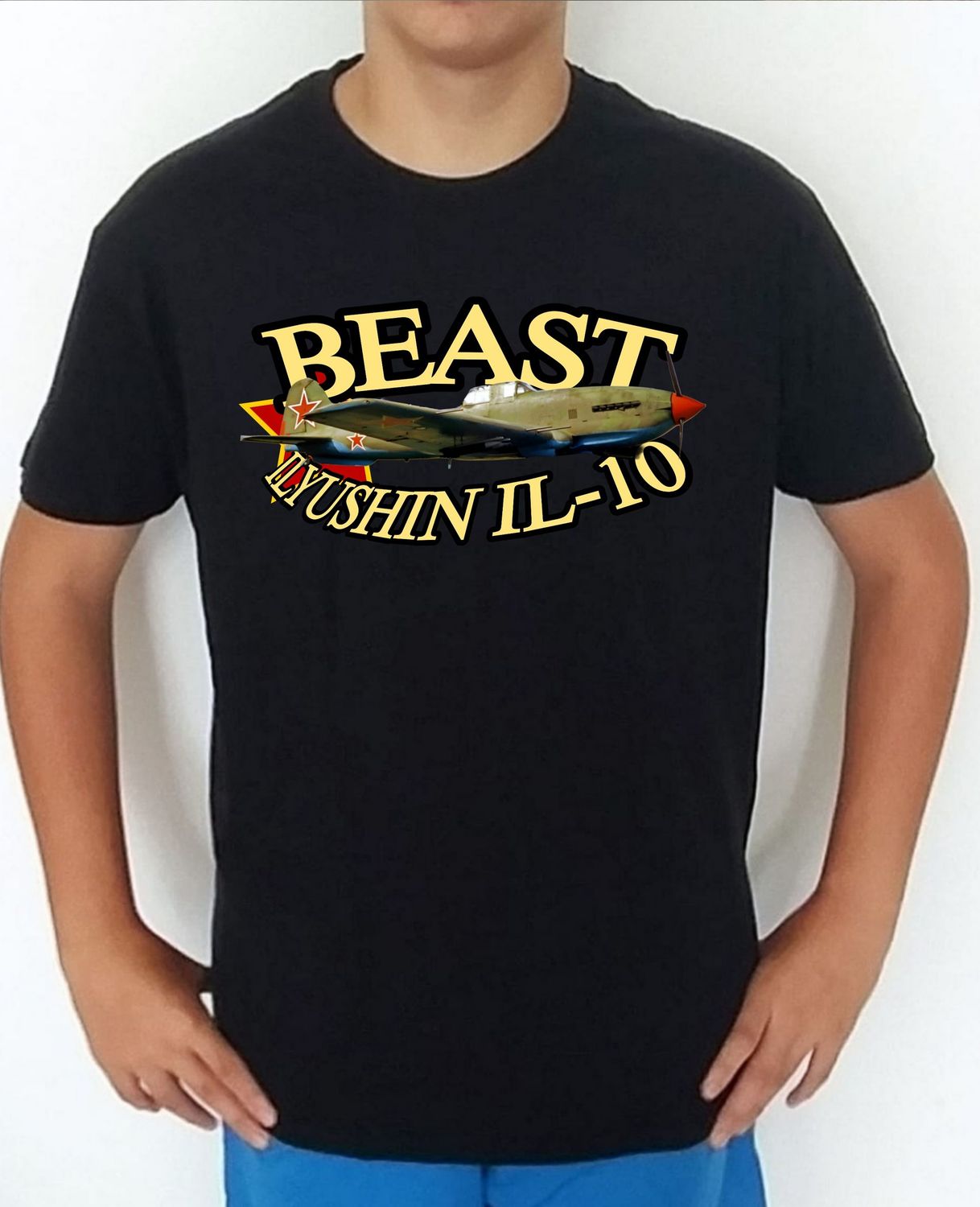 Ilyushin IL-10 Beast nº 3 Ilyushin IL-10 Beast nº 3