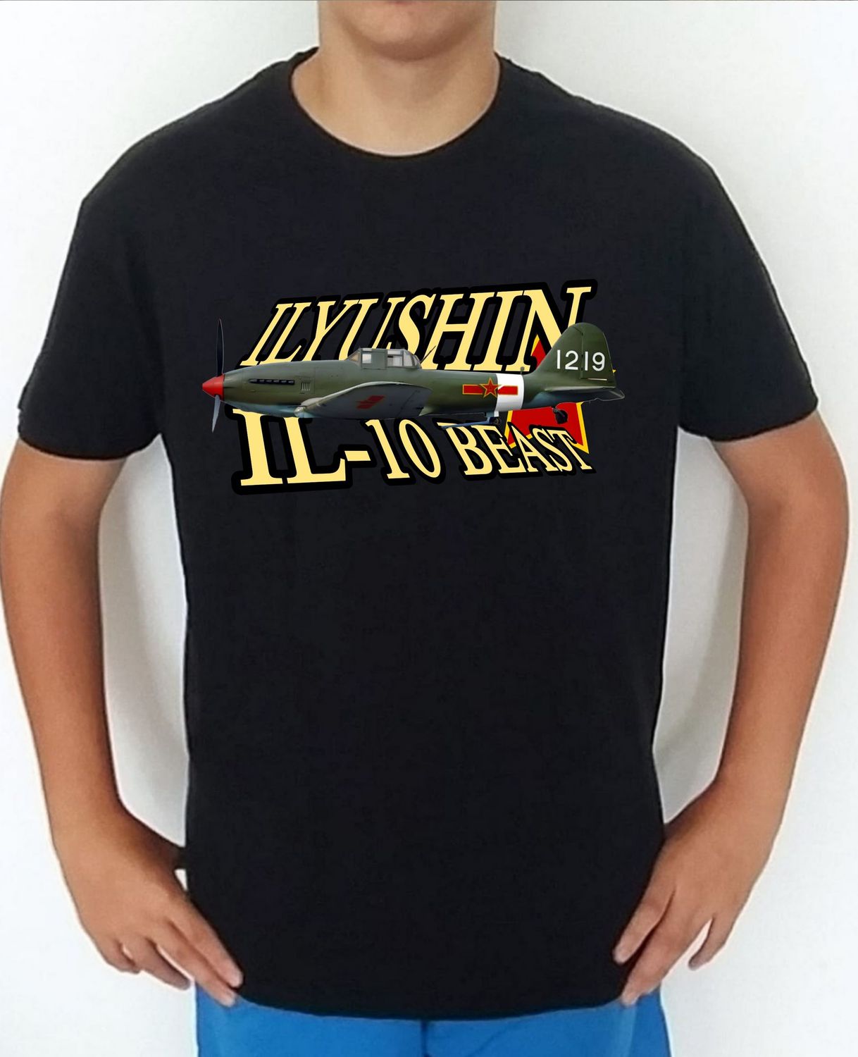 Ilyushin IL-10 Beast nº 4 Ilyushin IL-10 Beast nº 4