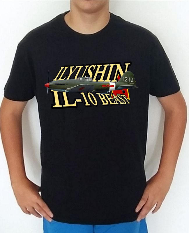 Ilyushin IL-10 Beast nº 4