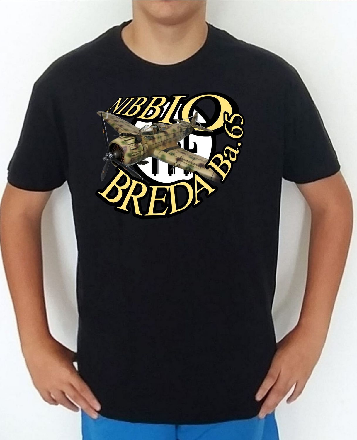 Breda BA-65 Nibbio nº 2 Breda BA-65 Nibbio nº 2