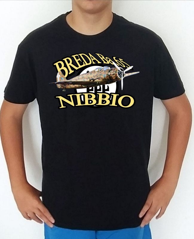 Breda BA-65 Nibbio nº 3