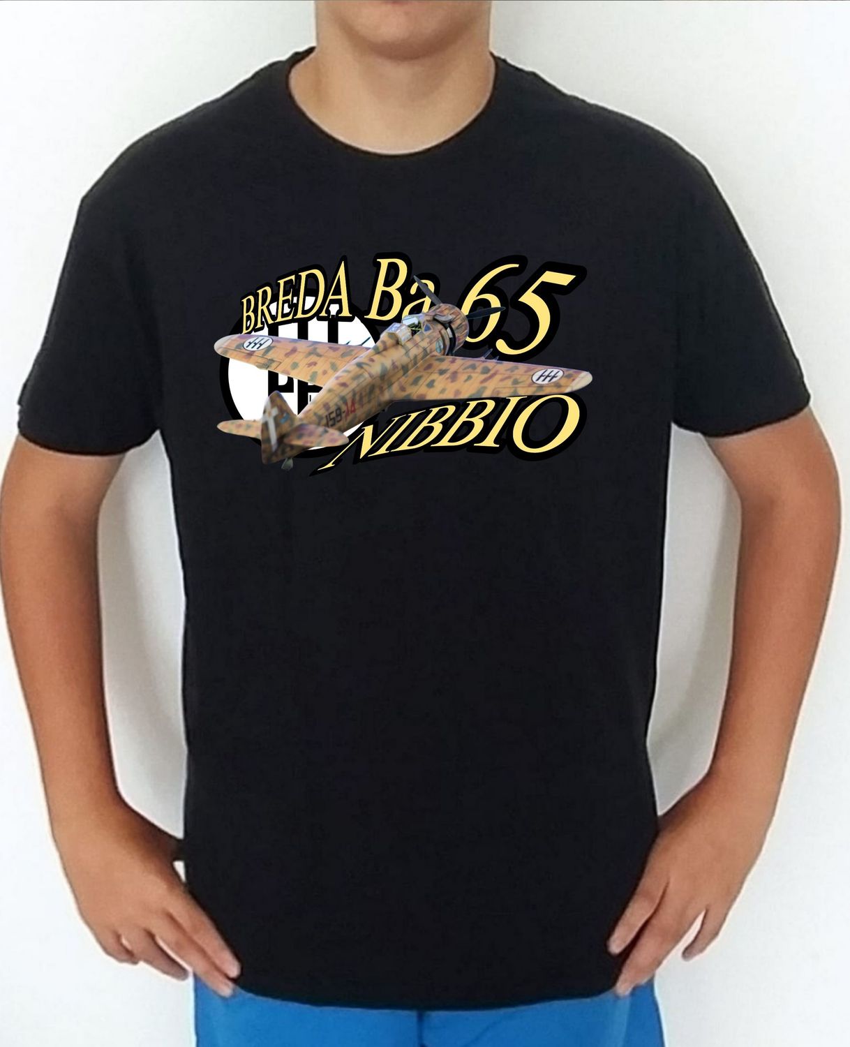 Breda BA-65 Nibbio nº 4 Breda BA-65 Nibbio nº 4