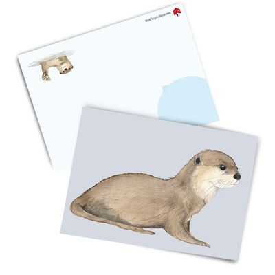 Postkarten-Set "Schlotterotter" (3 Karten)