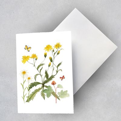 2 x Geschenkkarte "Blütenwiese mit Löwenzahn" (1 Motiv/2 Karten)