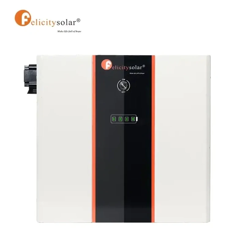 24 Volt 5kWh LiFePO4  Battery