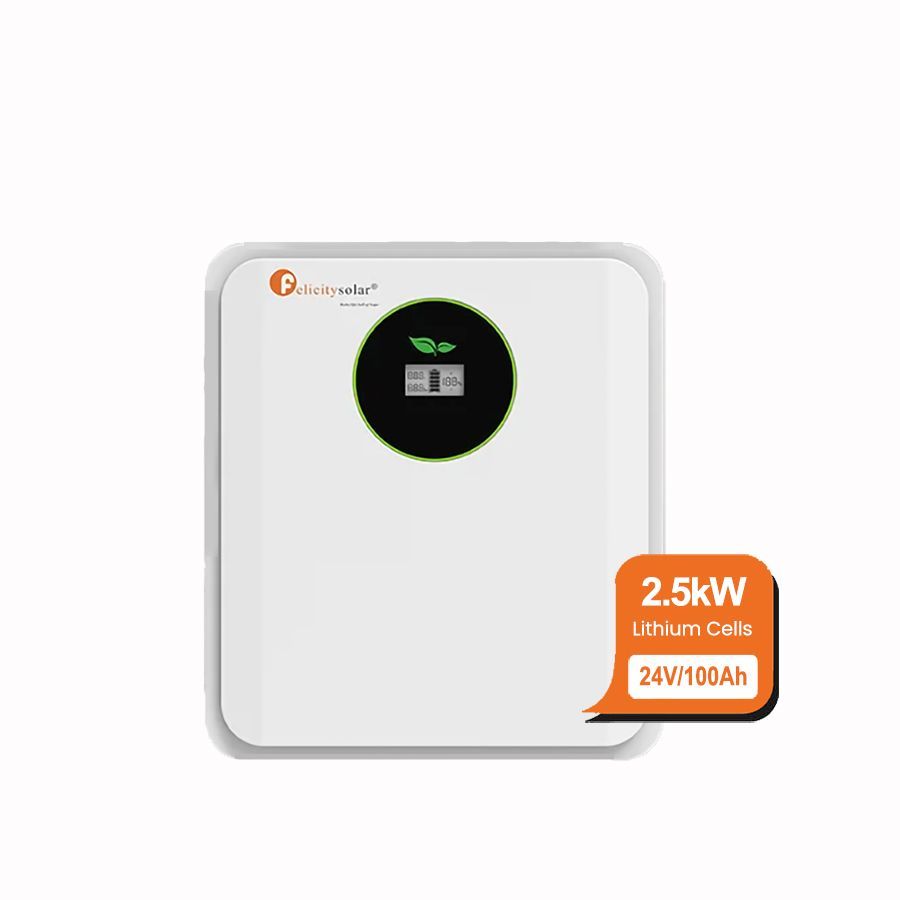 2.5kWh 24V 100Ah LiFePO4  Battery
