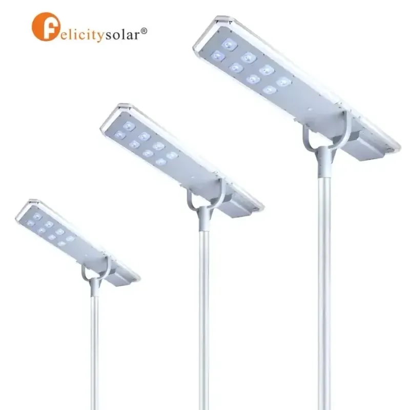 D2-Series 60W All-In-One Solar Street Light