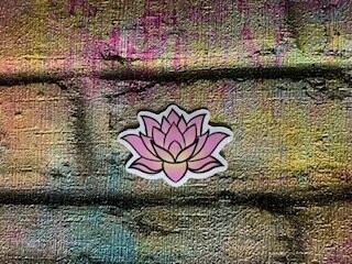 Pink Lotus Flower