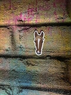 Patrina the Pony Sticker
