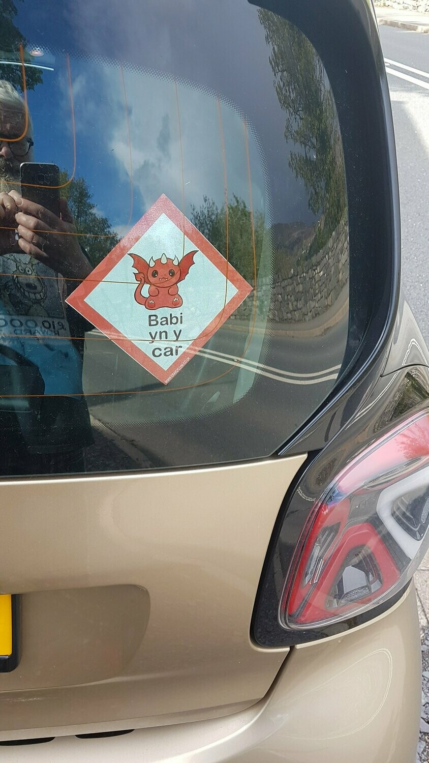 Babi yn y car Window Sticker