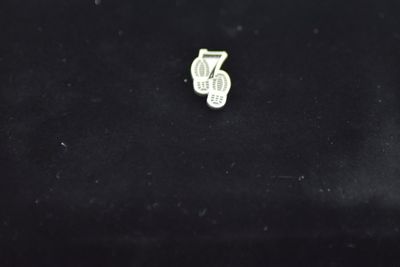 PIN Aufwertung Orden Teilnahme 7 Silber PIN Aufwertung Orden Teilnahme 7 Silber