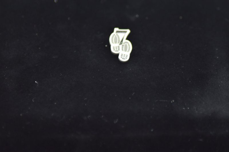 PIN Aufwertung Orden Teilnahme 7 Silber