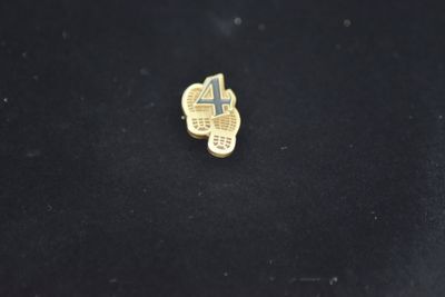PIN Aufwertung Orden Teilnahme 4 Bronze PIN Aufwertung Orden Teilnahme 4 Bronze