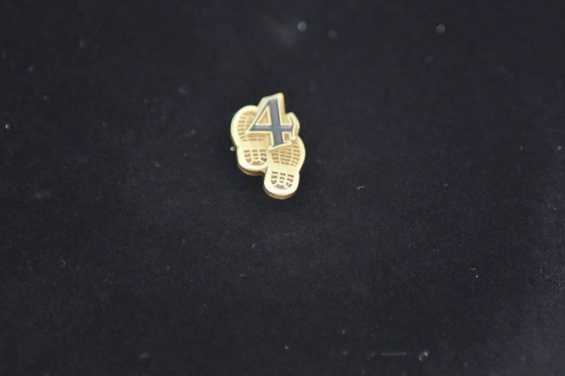 PIN Aufwertung Orden Teilnahme 4 Bronze