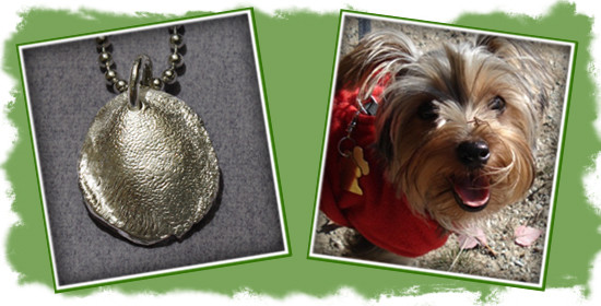 Celebrating Your Fur Babies