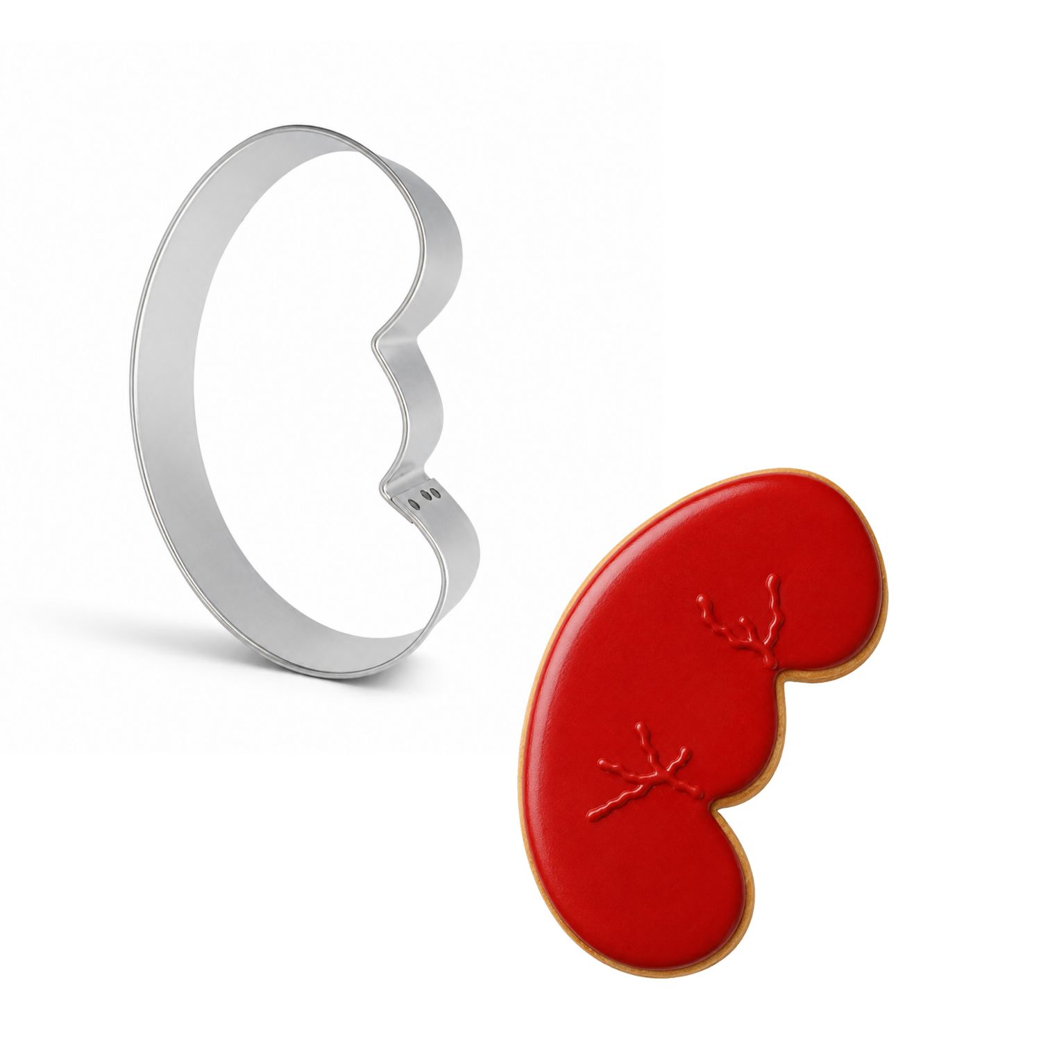 Anatomical Kidney Cookie Cutter 4 Anatomical Kidney Cookie Cutter 4" B2063