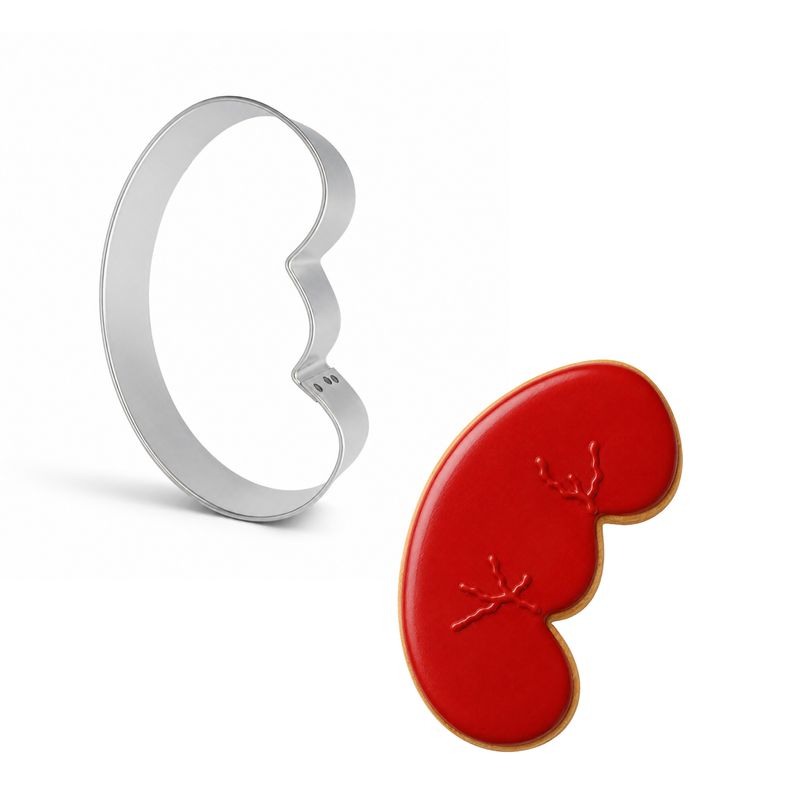 Anatomical Kidney Cookie Cutter 4 Anatomical Kidney Cookie Cutter 4" B2063