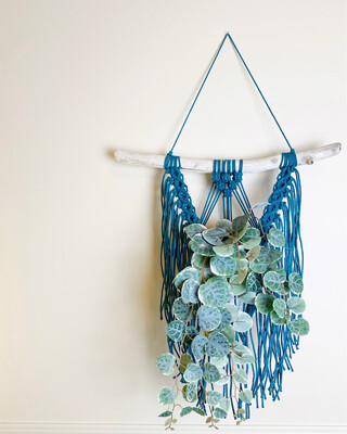 Driftwood Macrame Wall Hanging Plant Hanger | MADE TO ORDER