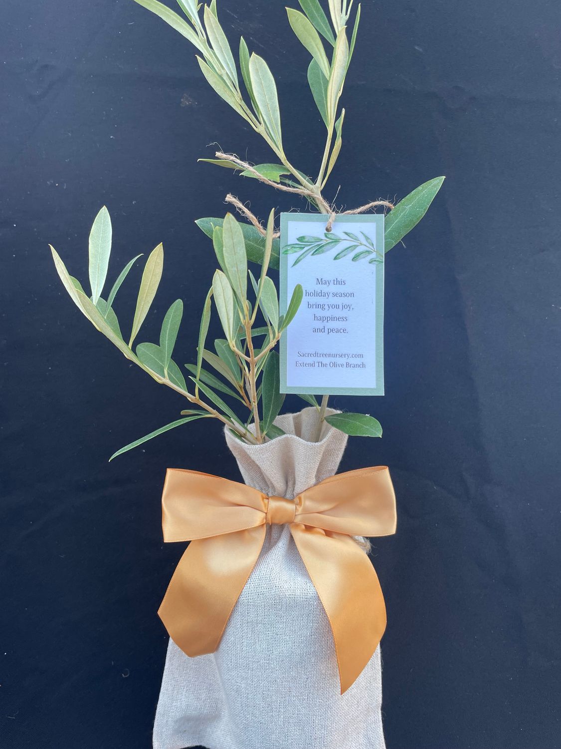 Holiday Farmhouse Olive with ribbon