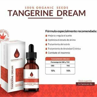 TANGERINE DREAM